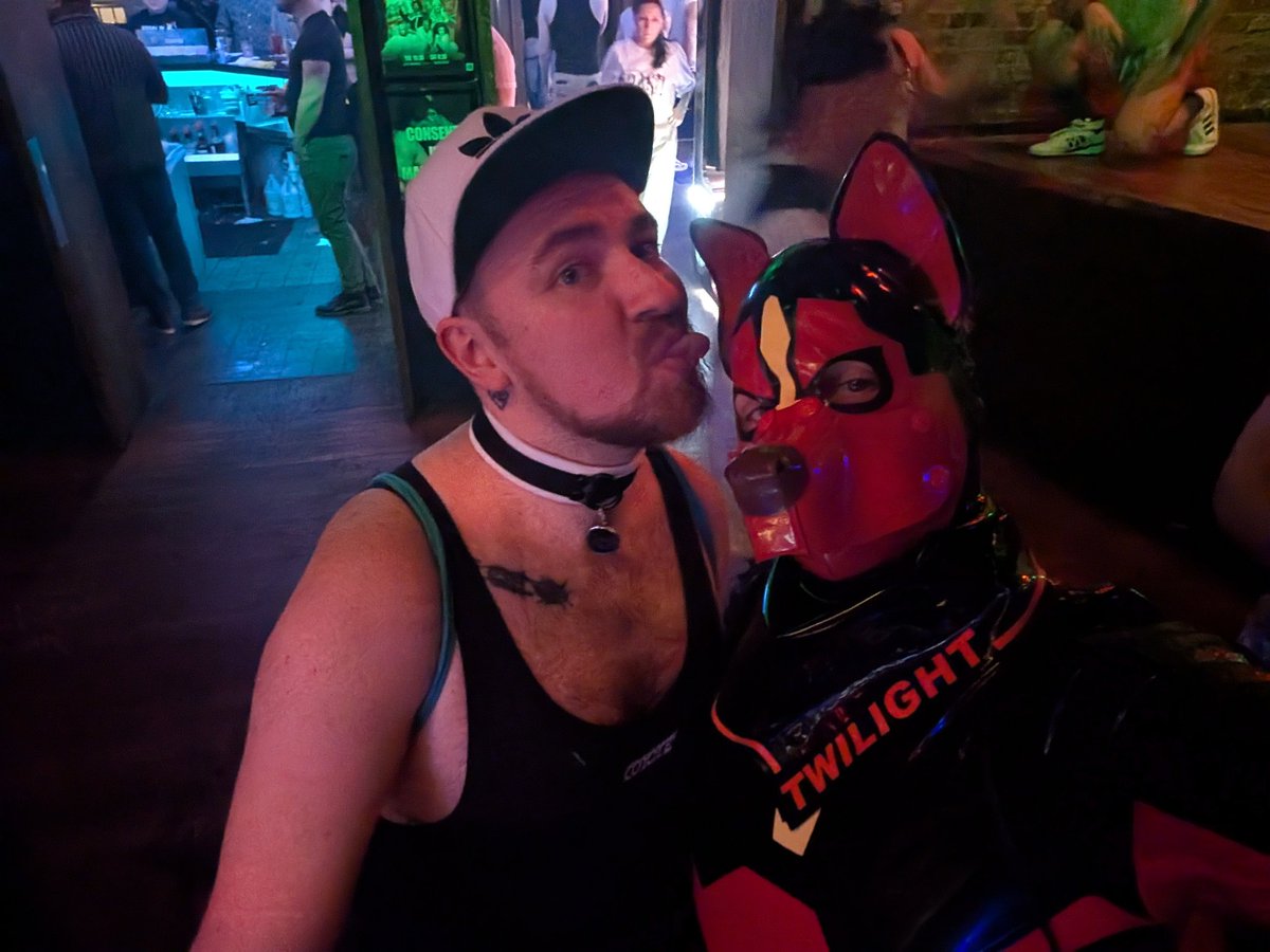 Pup Twilight tweet media