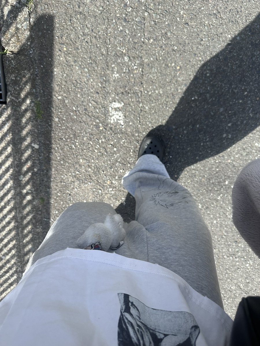 Young Freyja tweet media