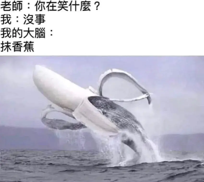 好奇猫a tweet media