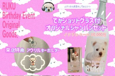 ReFROG🐸リフロッグ tweet media