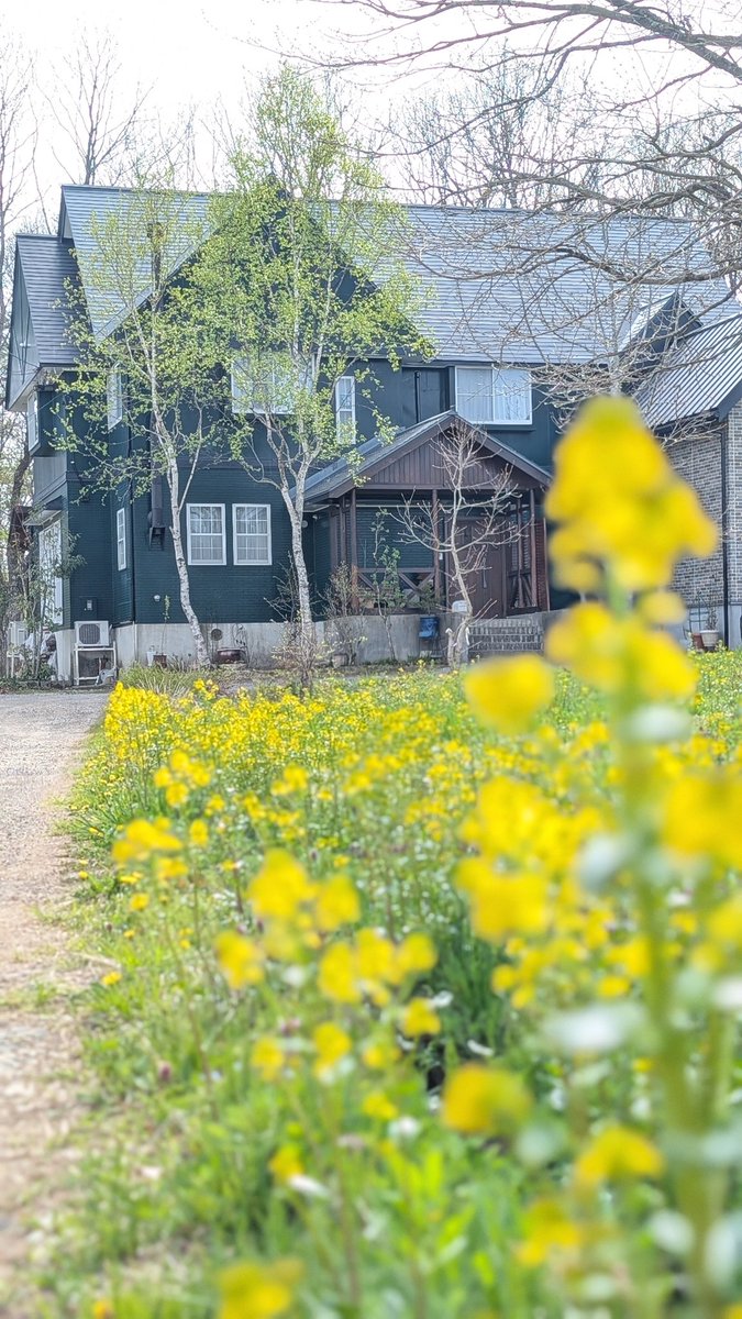 P_Green_Lake's tweet photo. 新緑の季節です
色んな花も咲いてきました！ https://t.co/AOOhnR2zla