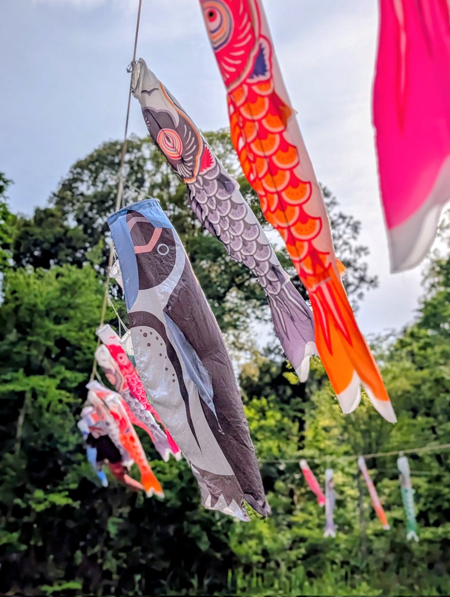 しのだこうき／写真集「with ペンギンたちの生きる島」予約受付中！ tweet media