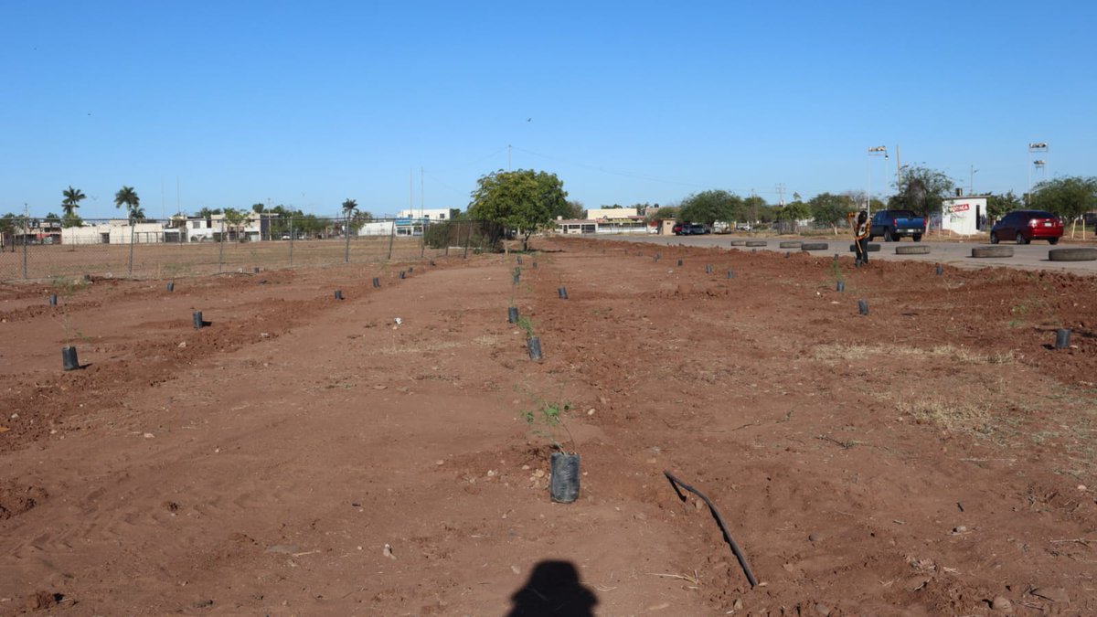 ValledelMayo tweet media