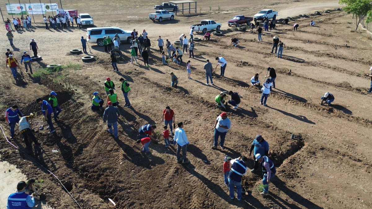 ValledelMayo tweet media