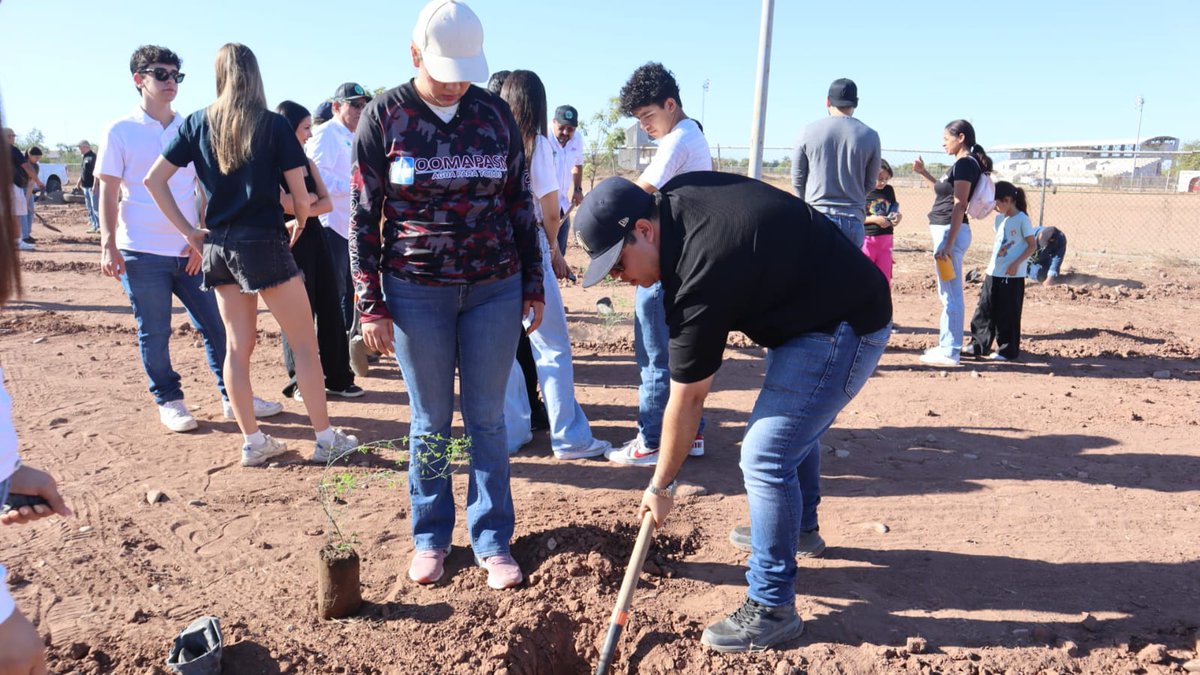 ValledelMayo tweet media
