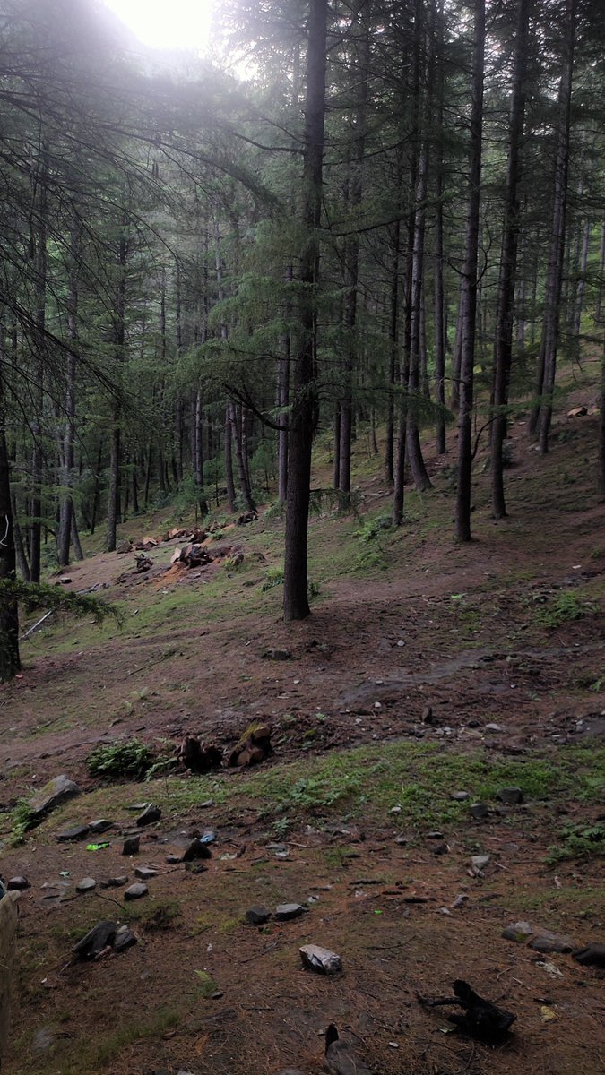 thw4u's tweet image. Sunday ❌
WorkDay ✅

For Village Function

#villagelife #mountains #HimachalPradesh