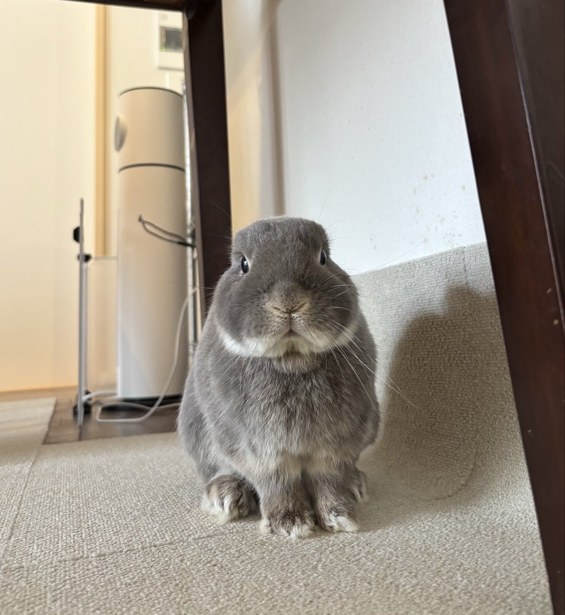 オールバック。