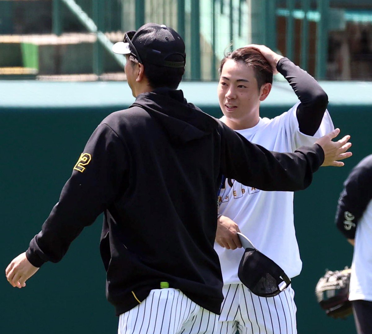 デイリー阪神担当×タイガース tweet media