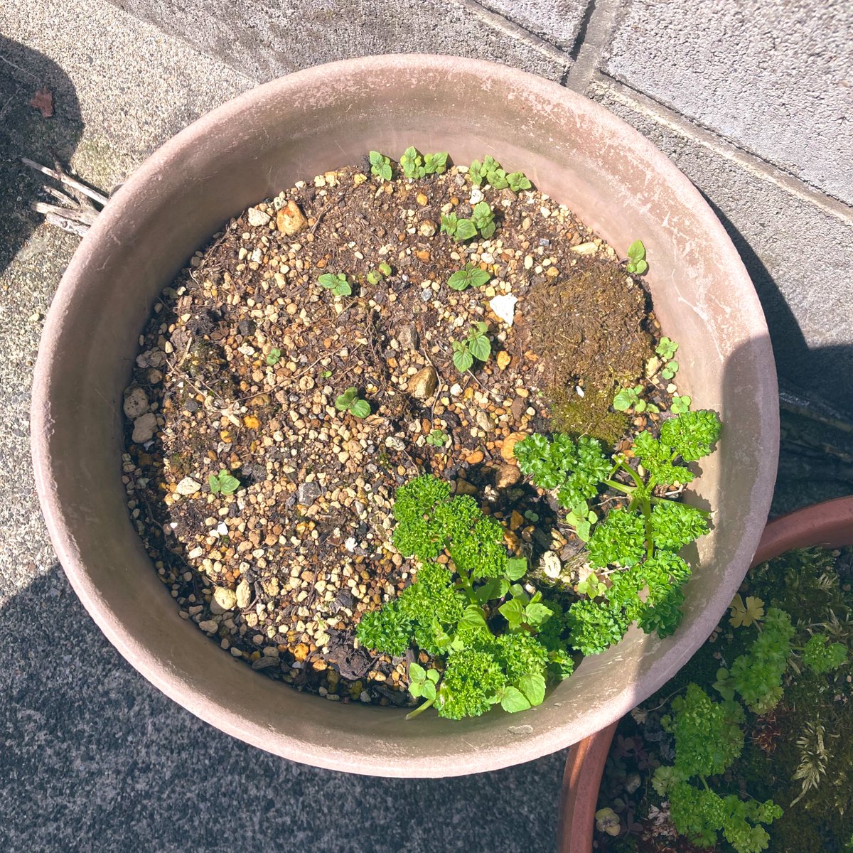 箱ぶみ tweet media