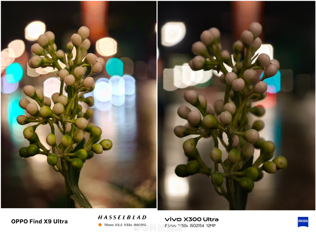 ayansonunigam's tweet image. OPPO Find X9 Ultra 🆚 Vivo X300 Ultra

Which one is best here ❓

#OPPO #vivo #OPPOFindX9Ultra #vivoX300Ultra
