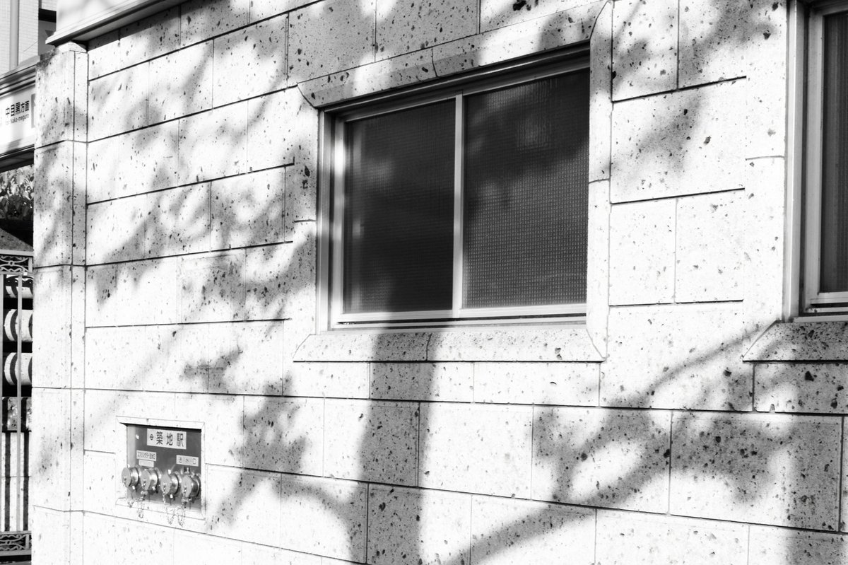 chihiro_orihihc's tweet image. 築地

#monochrome
#eosr8