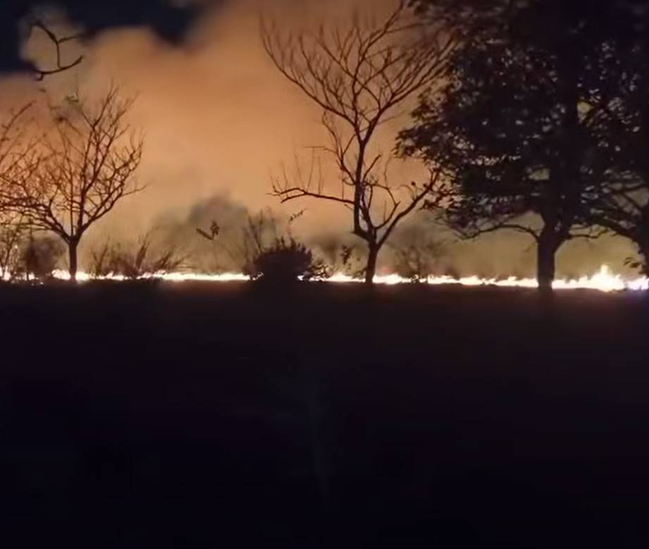 ELPINERO's tweet image. #FOTOREPORTE 📸 |   Reportan incendio de pastizal cerca del crucero de Santa Fe; piden apoyo urgente

➡️ Alerta en El Pando por incendio de pastizal registrado a un costado de la carretera federal #Veracruz–#Xalapa.

➡️ Vecinos de la zona piden la pronta respuesta de Bomberos y