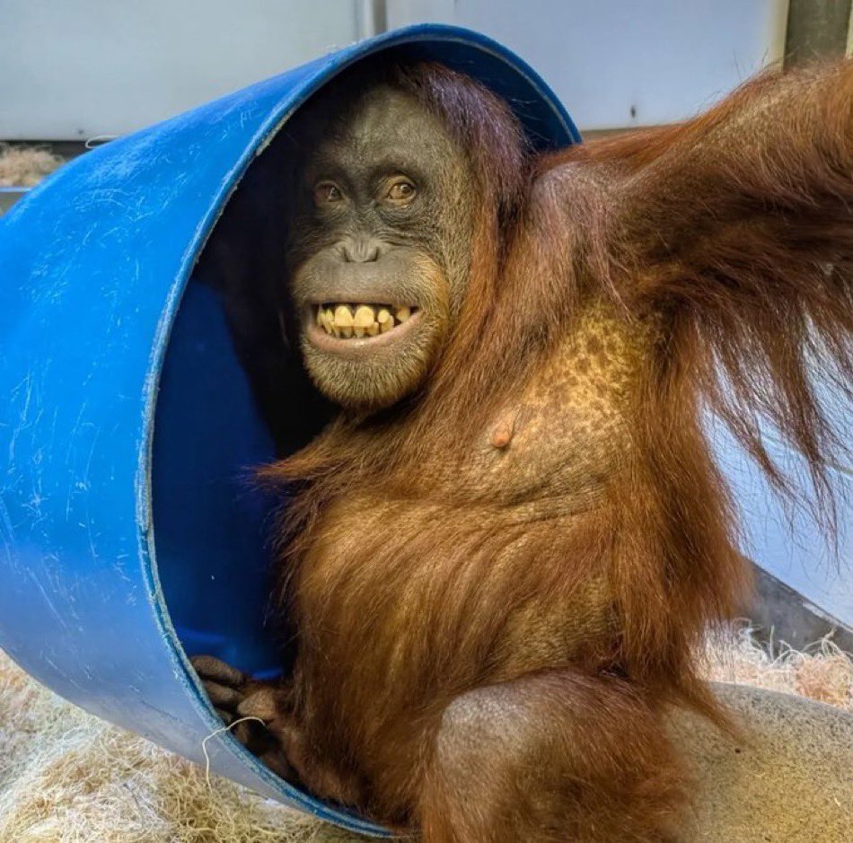 Only one with my socks off at the no shoes on inside house party