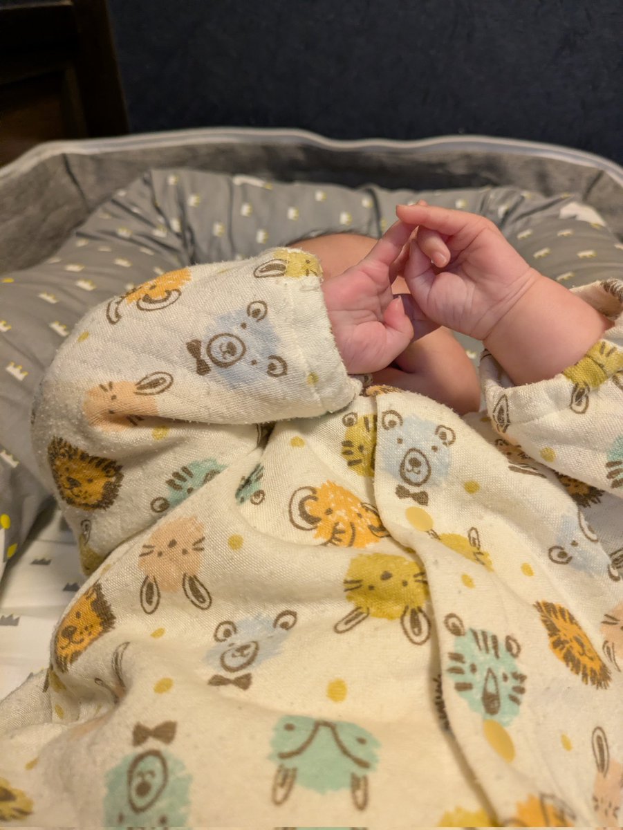 夜長 月虹（よながこう）＠小説家になろう tweet media