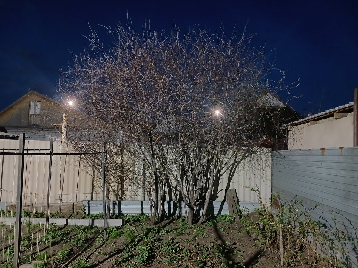 Следствие не вели tweet media