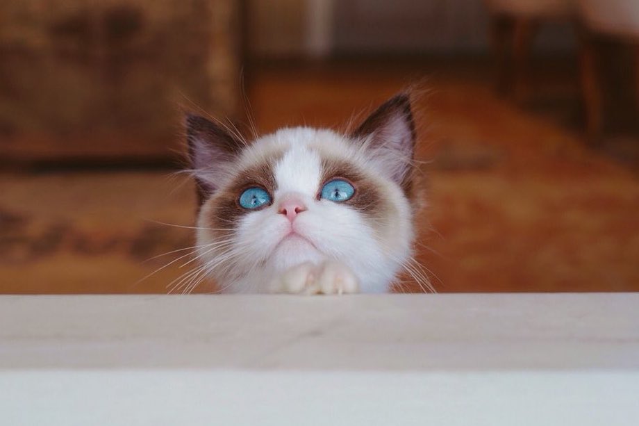 Taylor Swift Updates tweet media