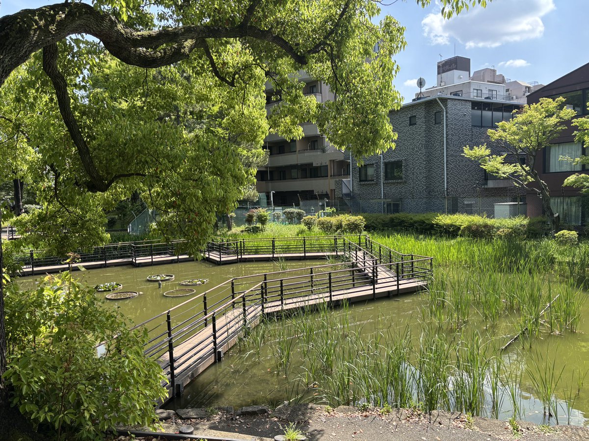 清水Liff竹菜 tweet media