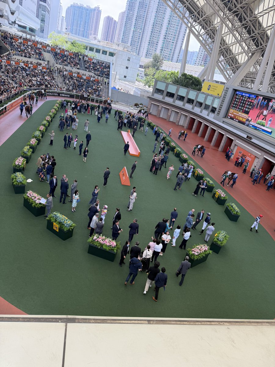 ねね。 tweet media