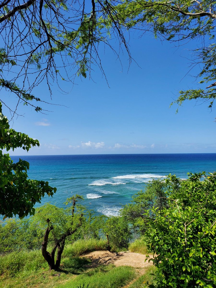Aloha!
お天気の良い今日のハワイ☀️
ダイヤモンドヘッドの麓からの景色です🏝️海の青のグラデーションが美しいですね🩵💙