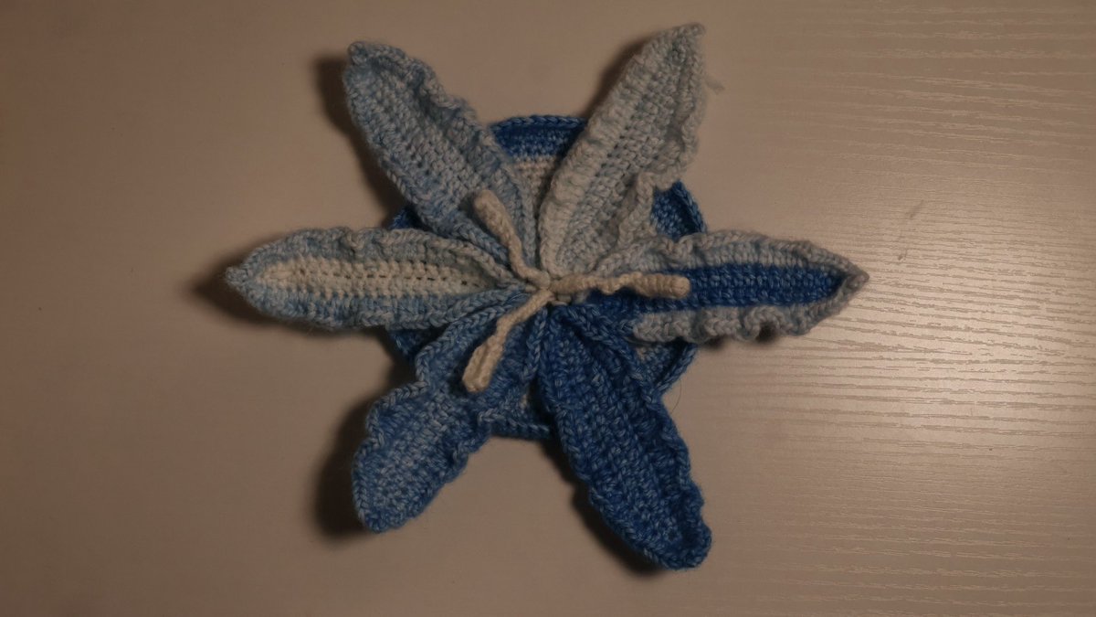 Ririjellycat tweet media