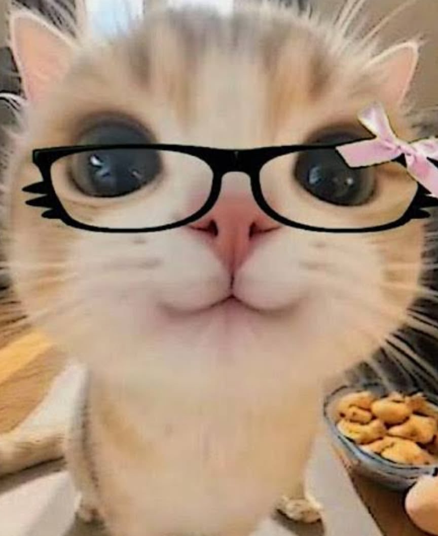 𝘃𝗼𝗻𝗶 tweet media