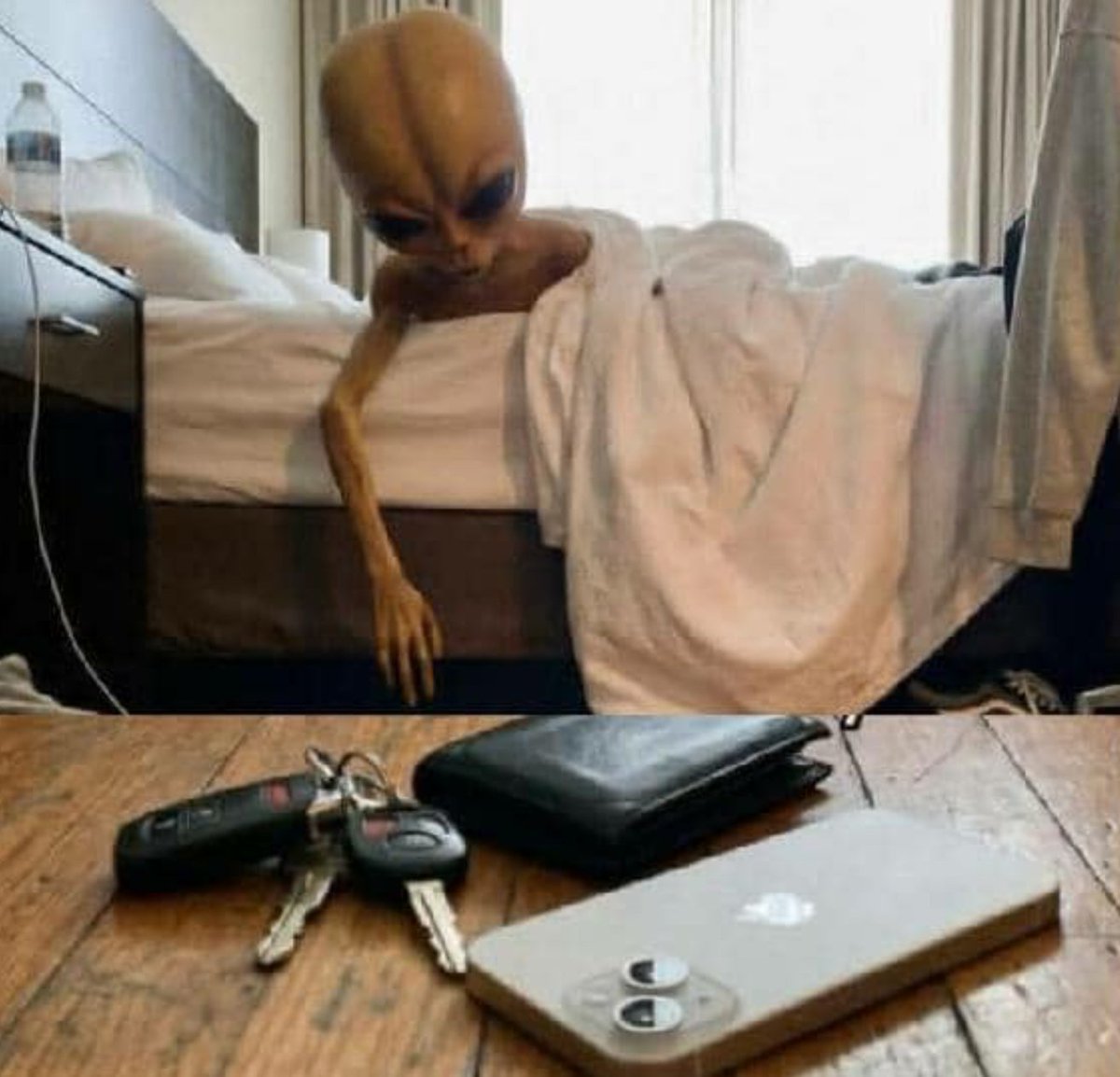 When you wake up hangover AF and realize the big 3 made it back home safely!