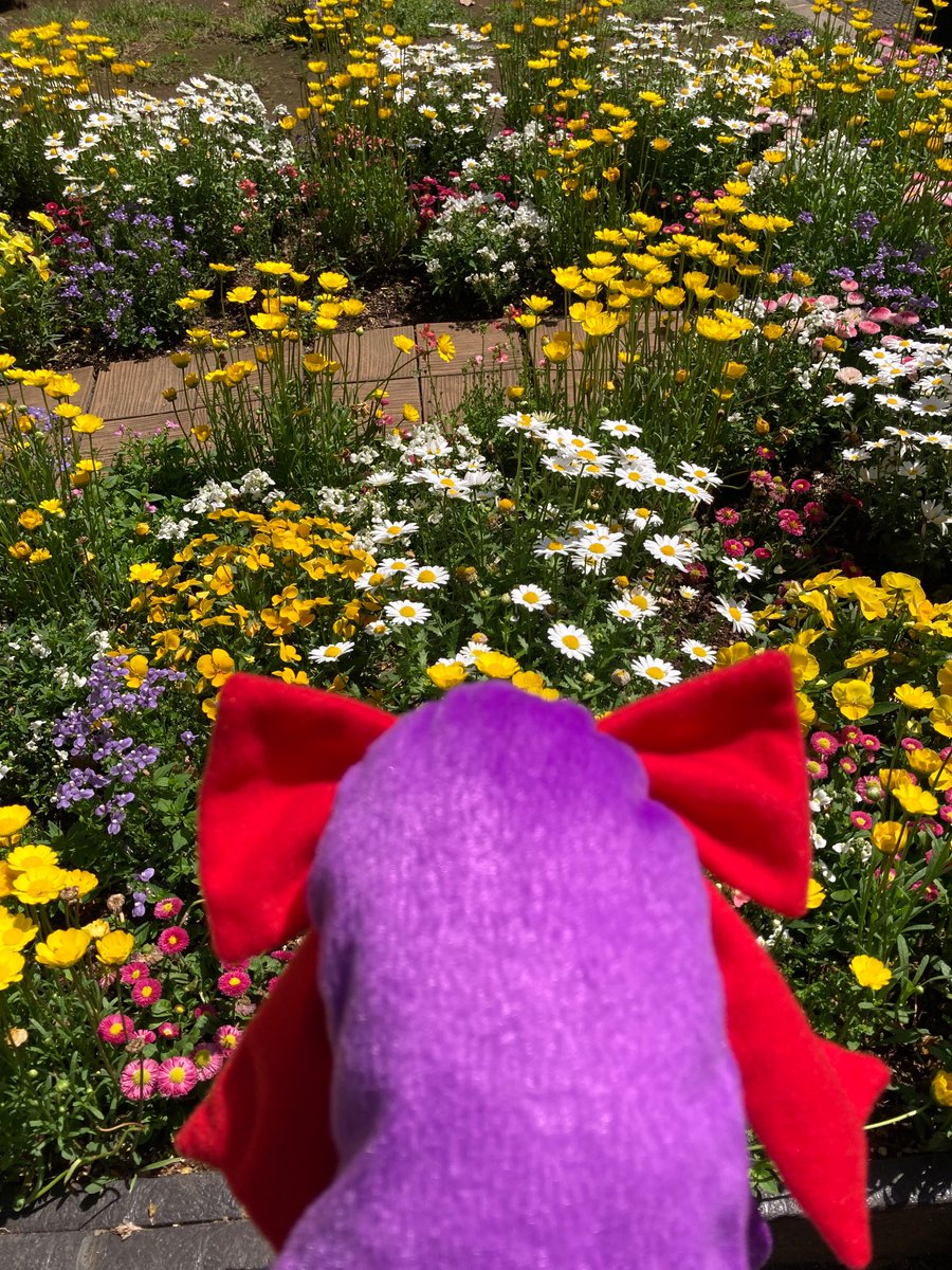 むるぬ tweet media