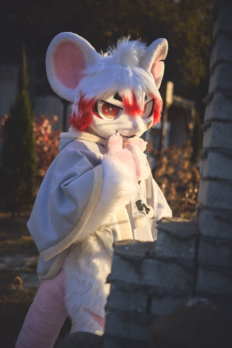 SASU🐭 (@sasu145) on Twitter photo 