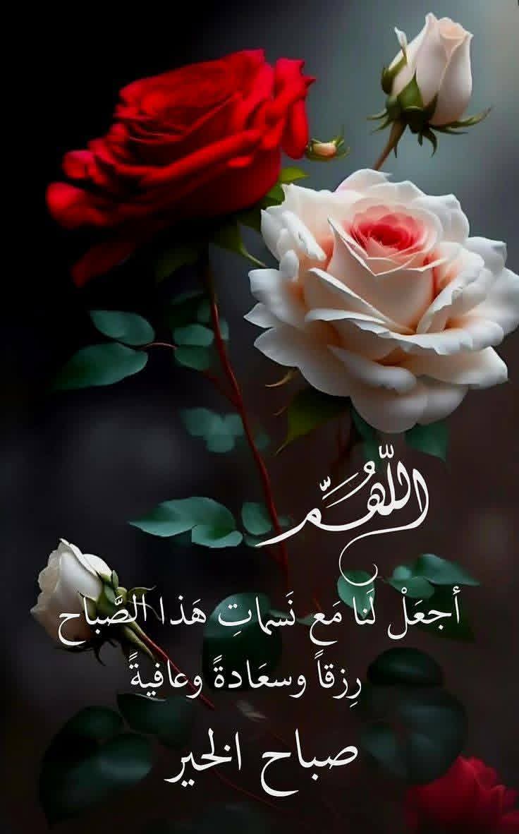 kamal ebrahem tweet media