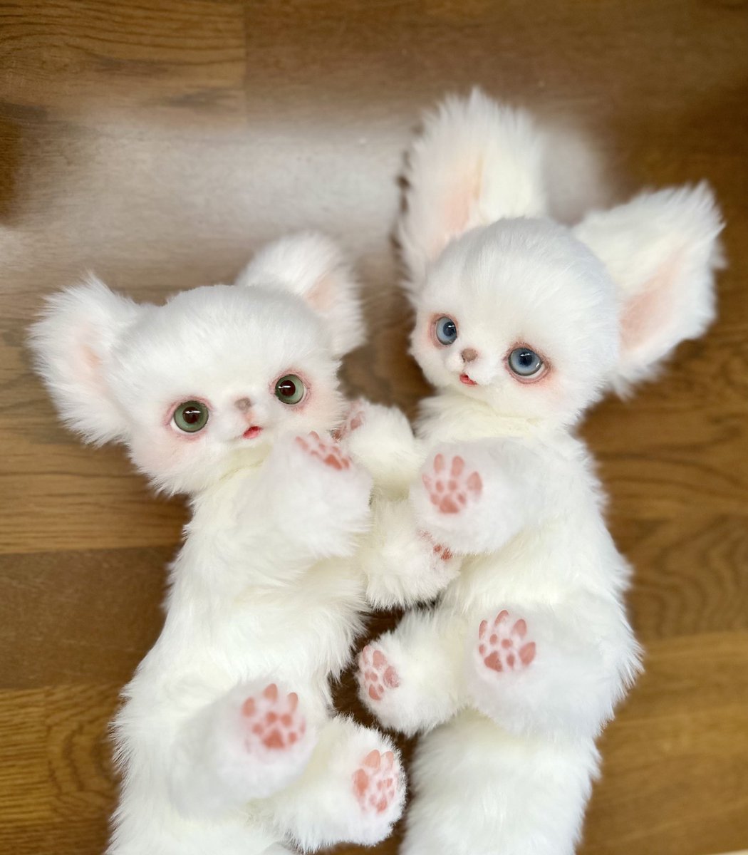 お洋服を待っているふたり。

#アートドール #ぬいぐるみ