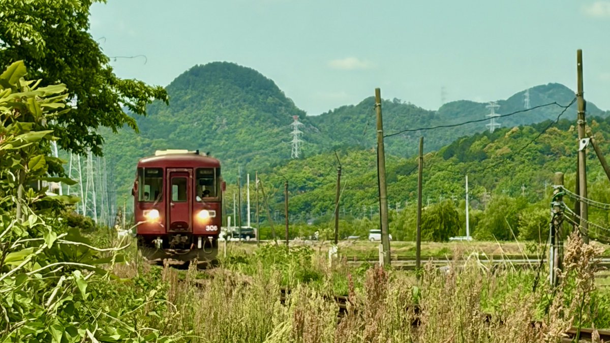 W3jUp's tweet photo. 長良川鉄道
ナガラ300形 306号
最近は、新しい車両も入りましたが、こちらは、そこそこ古くなってます。 https://t.co/cCkM2tS7sE