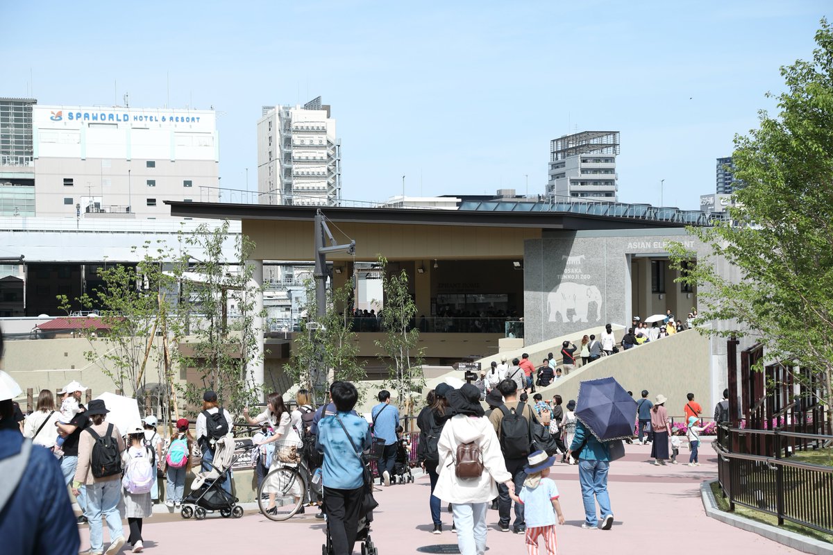 toshi1213_f1's tweet image. 先日オープンした新ゾウ舎🐘✨️
たくさんの人で賑わってました😊

#天王寺動物園 #ゾウ #Elephant