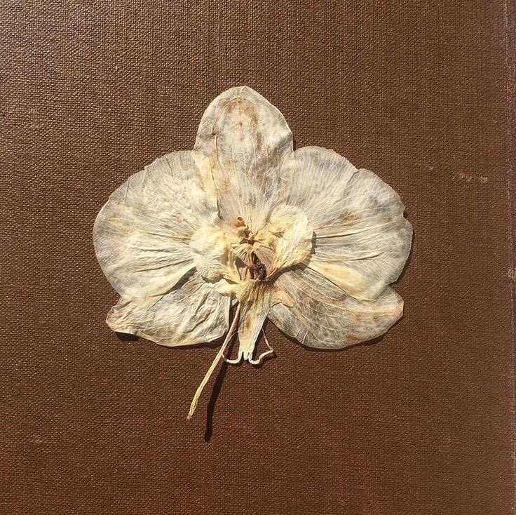 zai & adri 🌟1️⃣🪽 tweet media