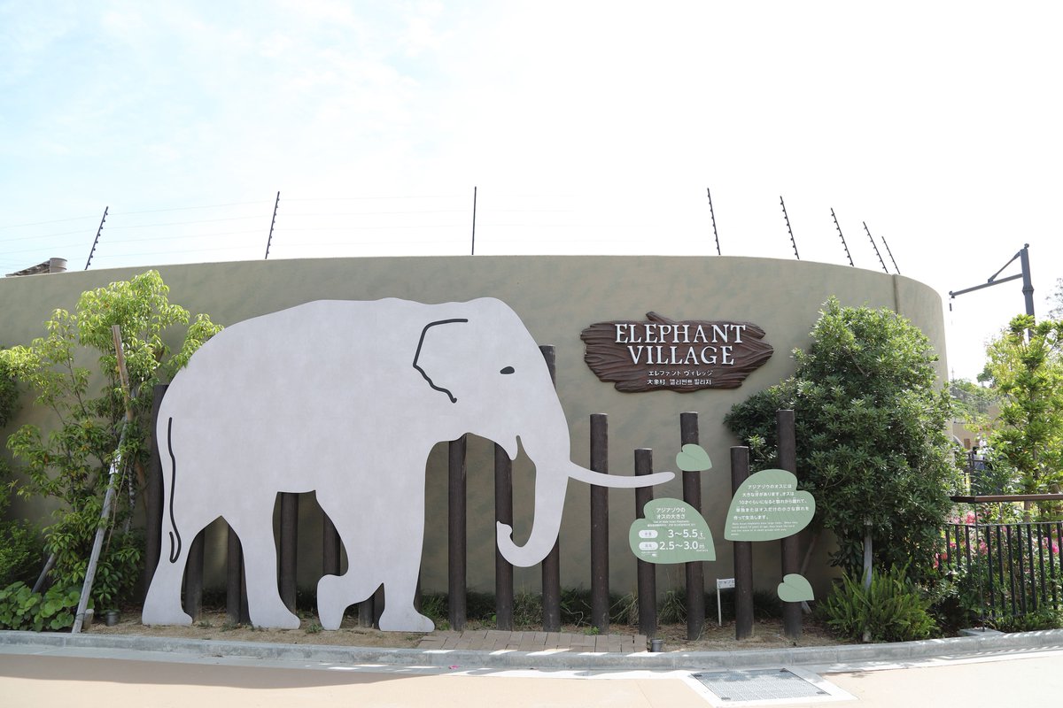 toshi1213_f1's tweet image. 先日オープンした新ゾウ舎🐘✨️
たくさんの人で賑わってました😊

#天王寺動物園 #ゾウ #Elephant