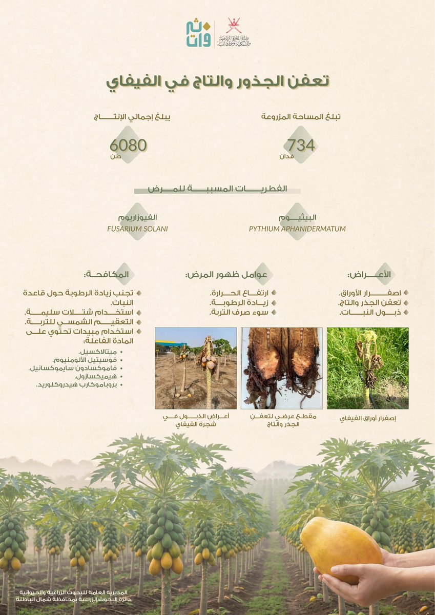 البحوث الزراعيةوالحيوانية - سلطنة عُمان tweet media