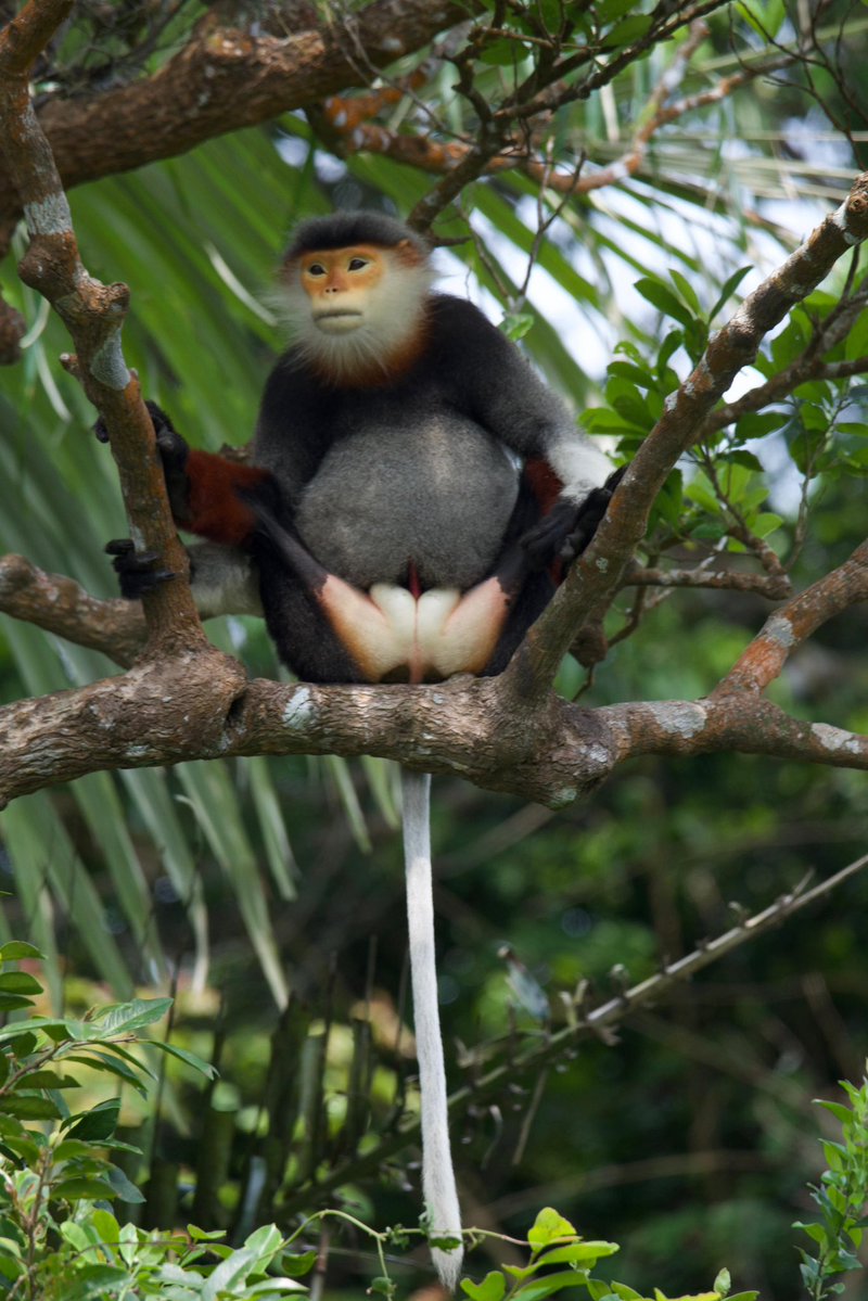 Daniel Fisher tweet media