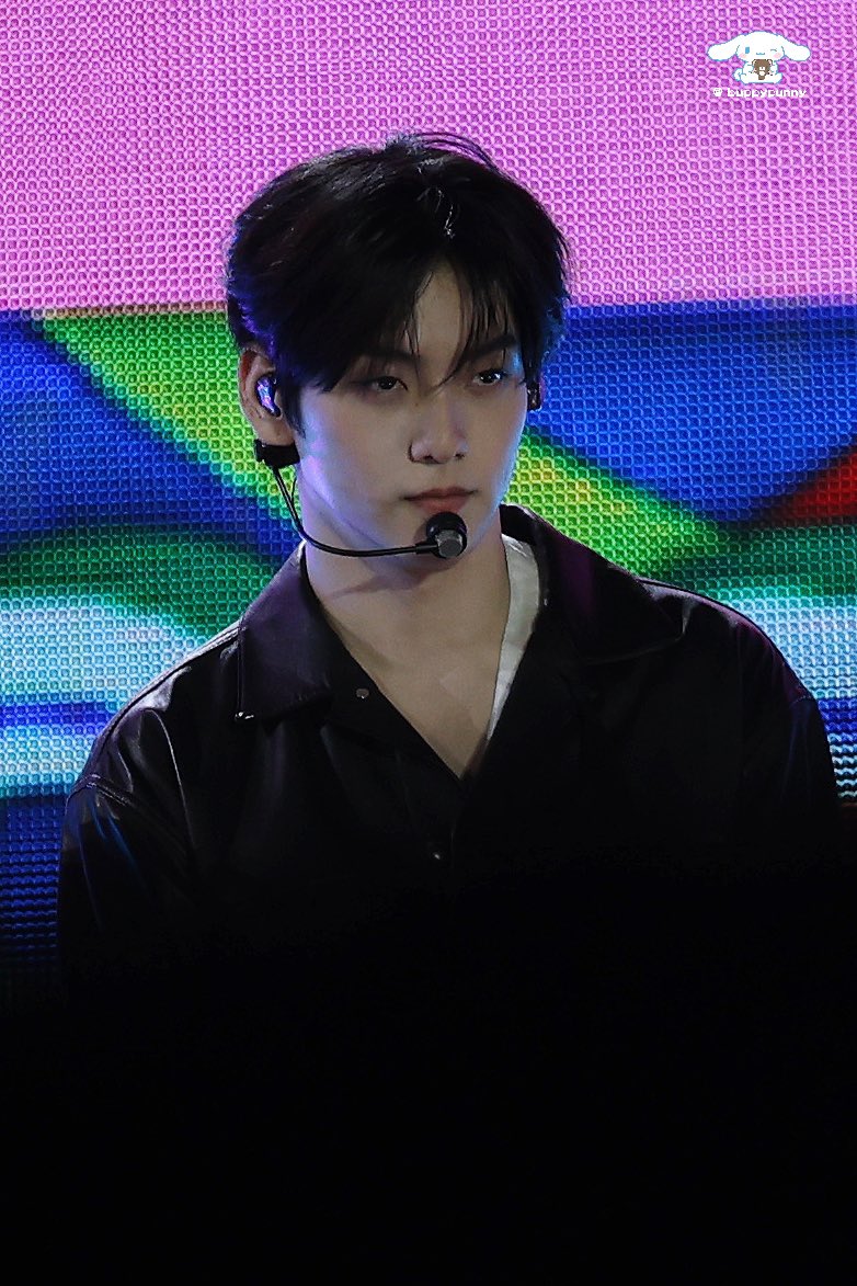 🐰🐶 tweet media