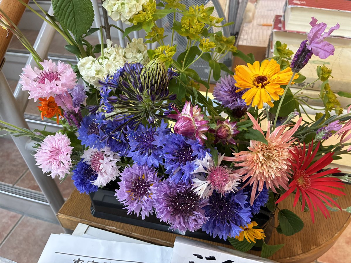 Dr.Masahiro🧑‍🎓 tweet media