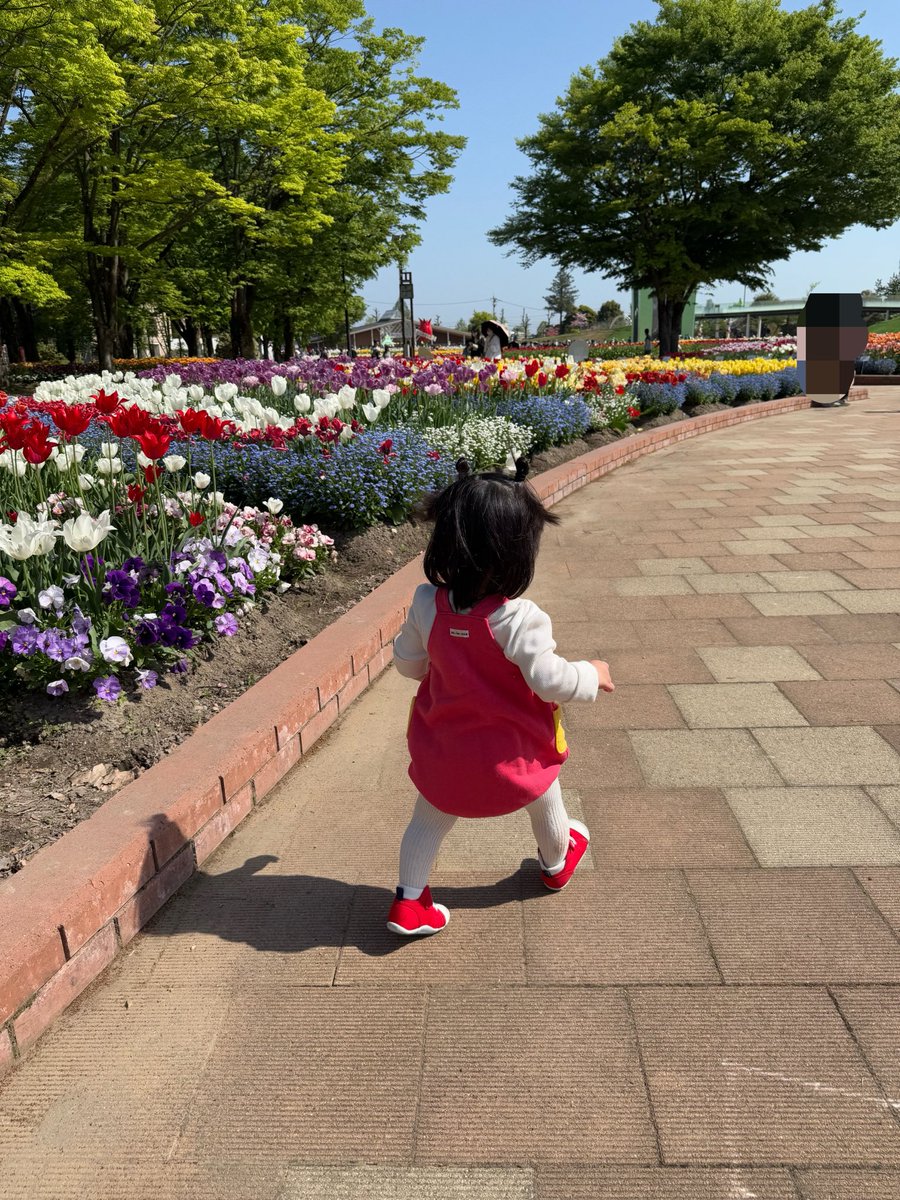 あっこ☺︎ 2y🦖1y🎀+🥚 tweet media