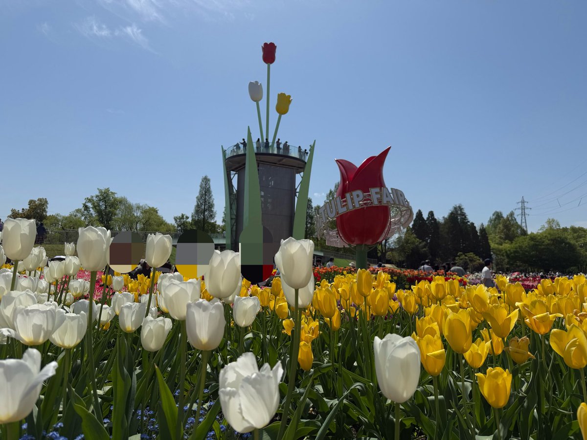 あっこ☺︎ 2y🦖1y🎀+🥚 tweet media