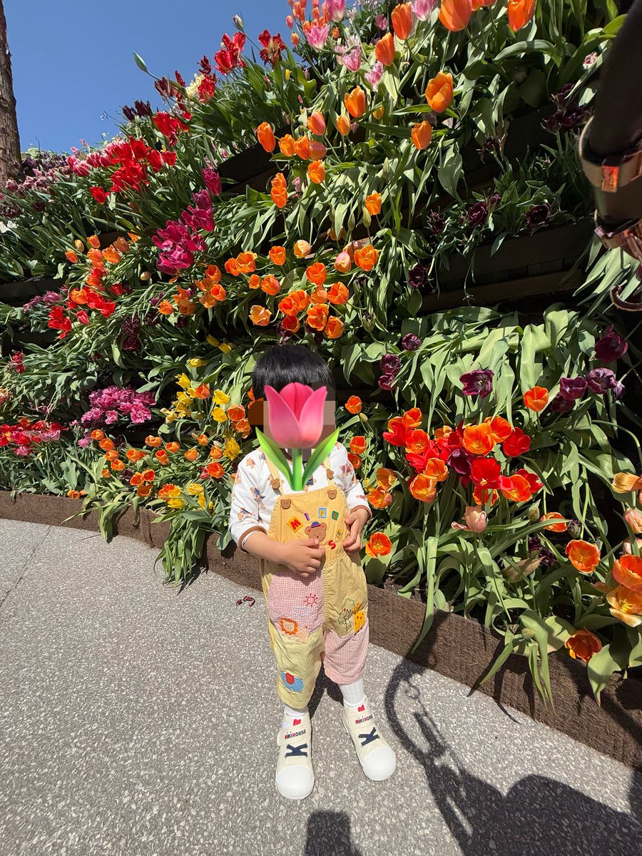 あっこ☺︎ 2y🦖1y🎀+🥚 tweet media