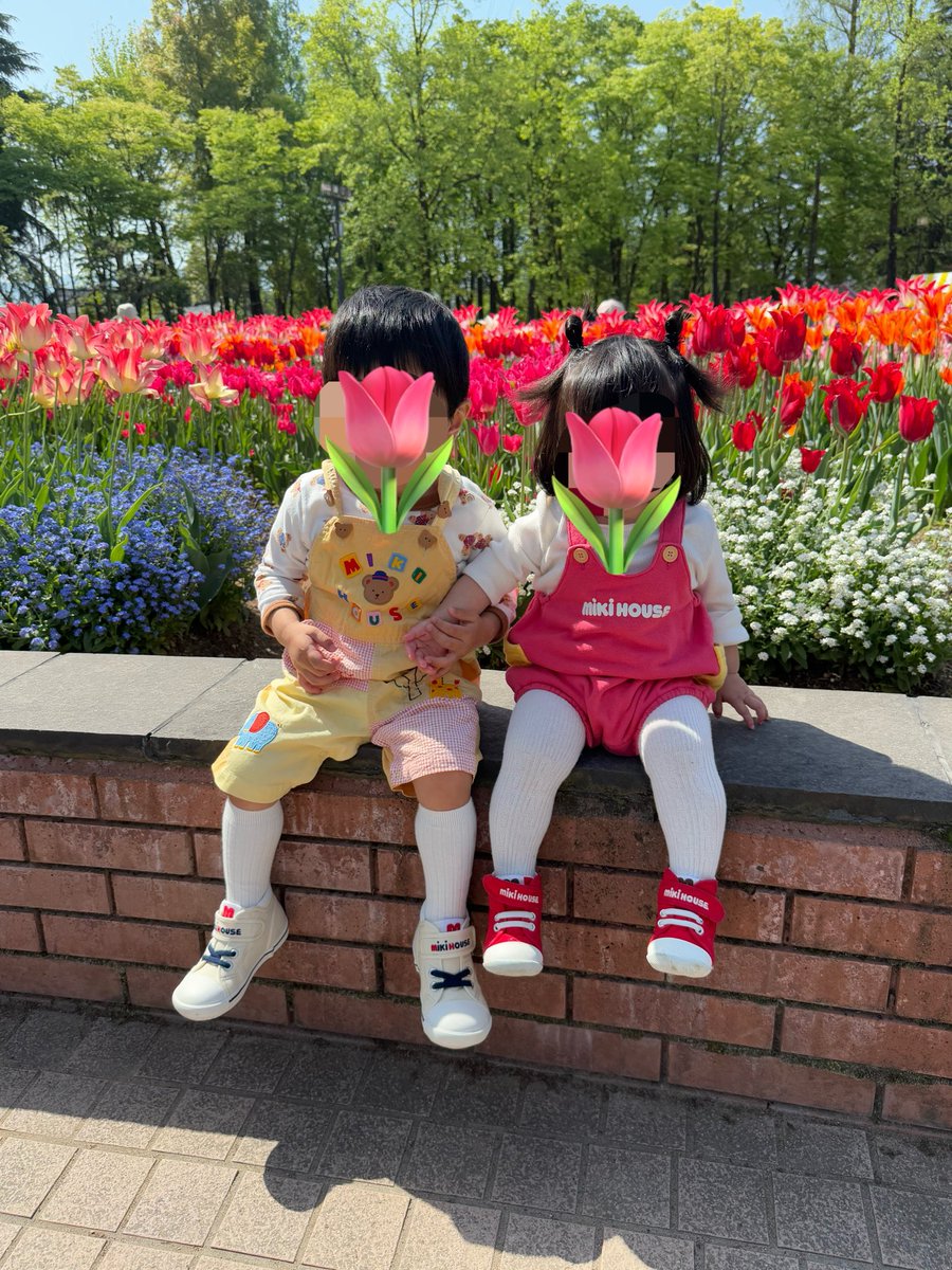 あっこ☺︎ 2y🦖1y🎀+🥚 tweet media