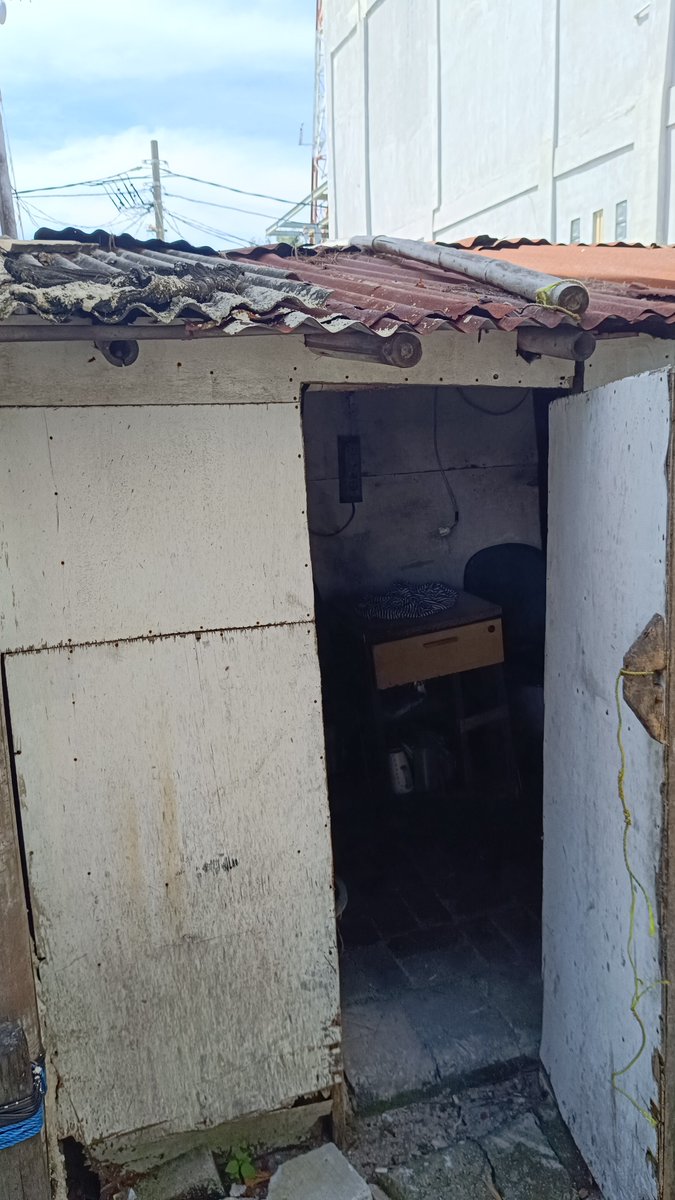 Dady Shark 🦈 tweet media