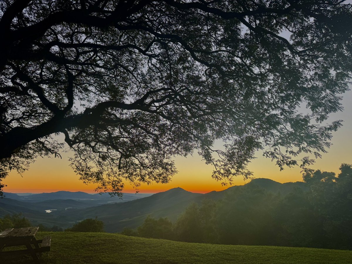 laraleeloo's tweet image. Magoebaskloof sunrise. 33 minutes between the first and last photo.

Be grounded in where you are.
Be passionate about what you do.
Be present for what matters.
Be grateful for the moment.
Be exactly who you are.

#sunday #sunrise #be #visitmagoebaskloof #love_limpopo