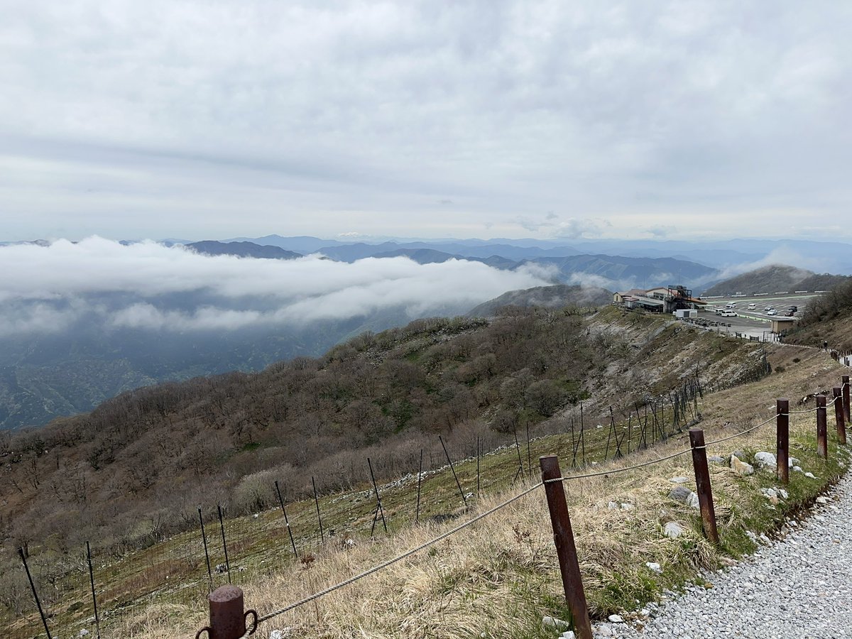 タカムラ　コウタロ tweet media