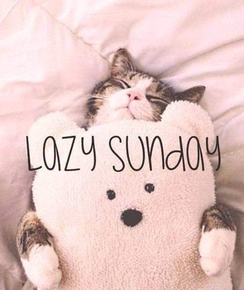 SubRosaMagick's tweet image. #goodmorning #goodmorningwitches #GoodMorningTwitterWorld #sunday #SundayMorning #SundayThoughts #sundayvibes #SundayFunday #witchesoftwitter #witchtwt #seasonofthewitch #pagan #wicca #blessedsunday #Sundayvibes