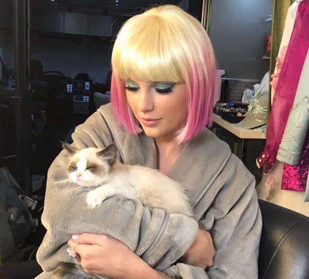 Taylor Swift Updates tweet media