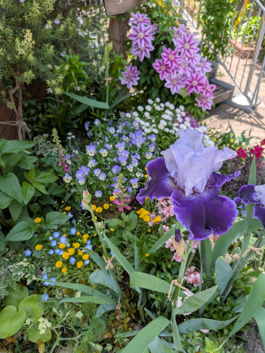 新しいパン屋さん開拓すべく今日もパン屋さんへ🥖オープンが遅いから急がなくても大丈夫と思っていたら行列できてて開店１時間なのに売り切れのパンも多かった💦ミルクフランス🇫🇷は出来たてをくれたのでその場で食す😂色々買ったけどお持ち帰りで。お庭も植栽が素敵でいいお店発見した😻

#お昼ごパン