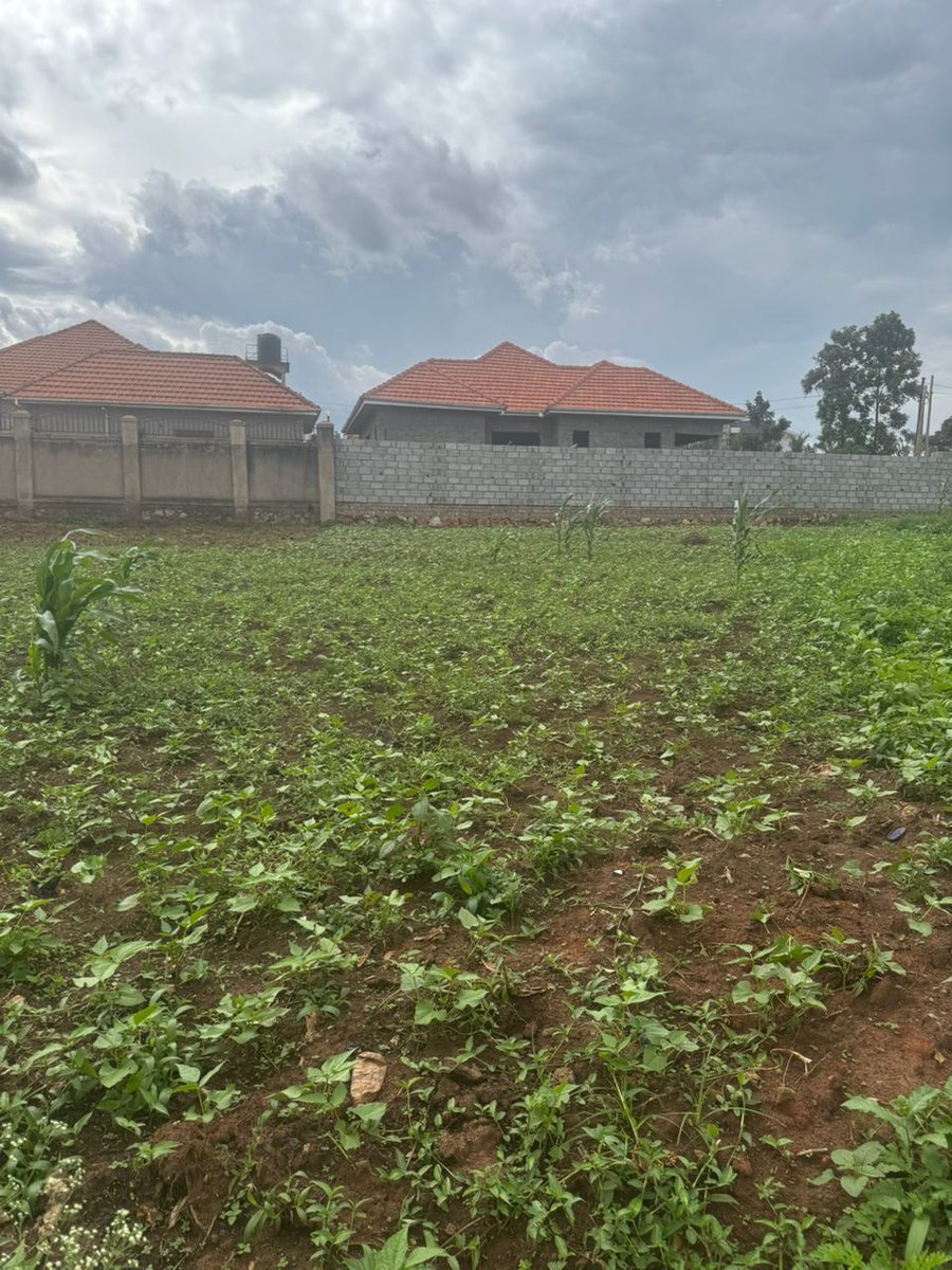 Kampala Metropolitan Properties tweet media