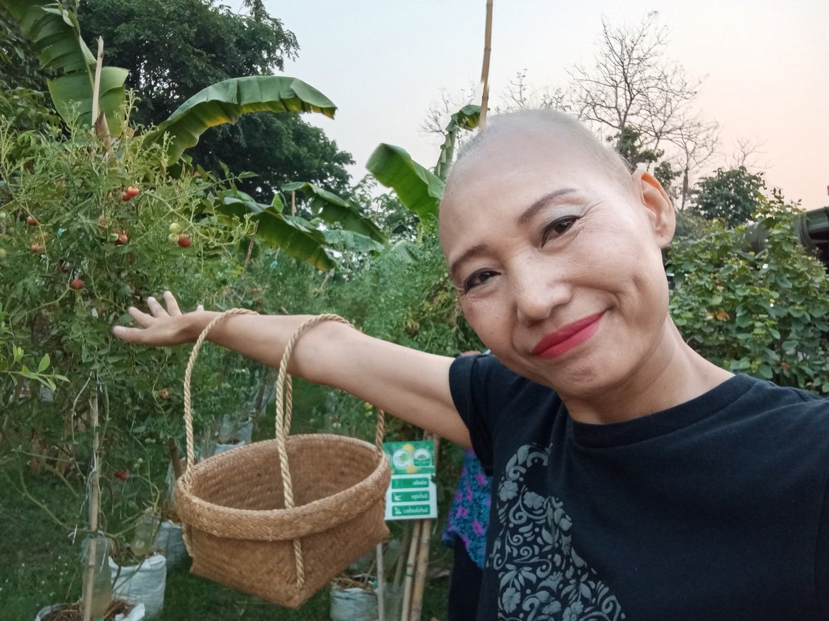 Trovy🐍HALO 🇹🇭HOMETOWN🇹🇭🐍💚Got7🌴🐊🐢🐯🦦🐍🐜 tweet media